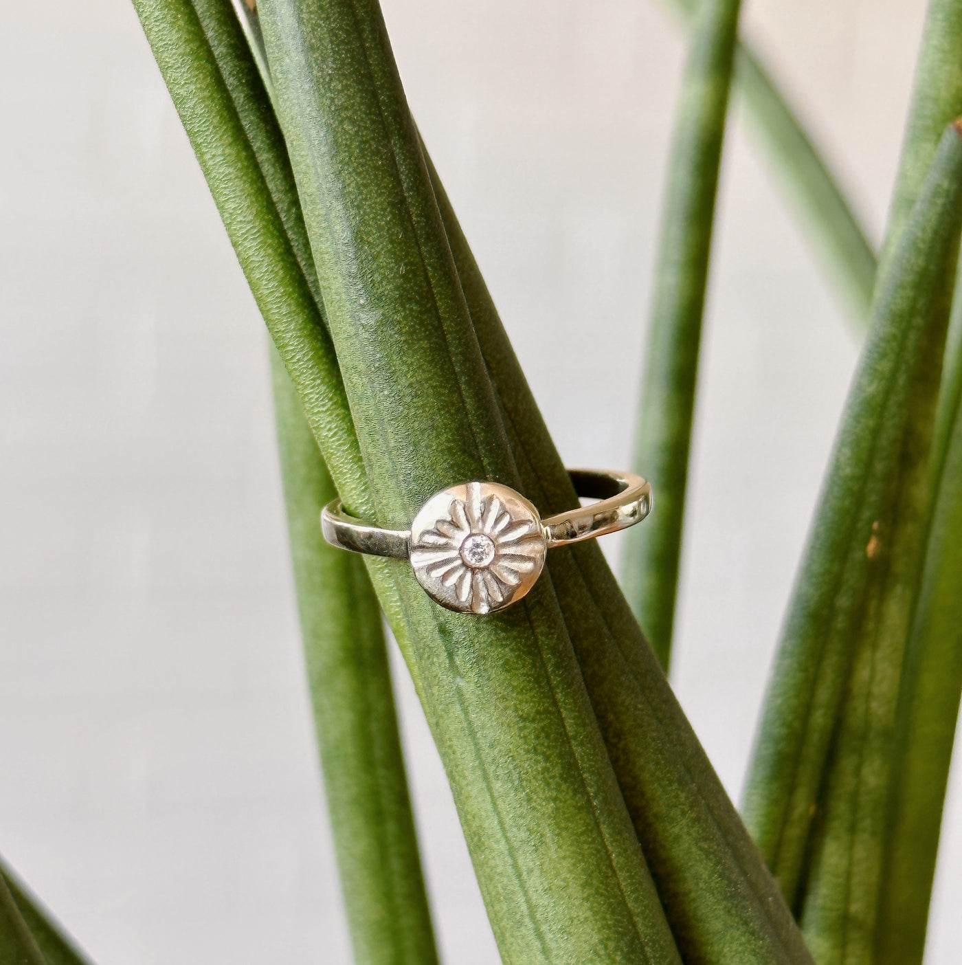 Lucia Small White Gold and Diamond Ring modeled on a plant slightly tilted to the side