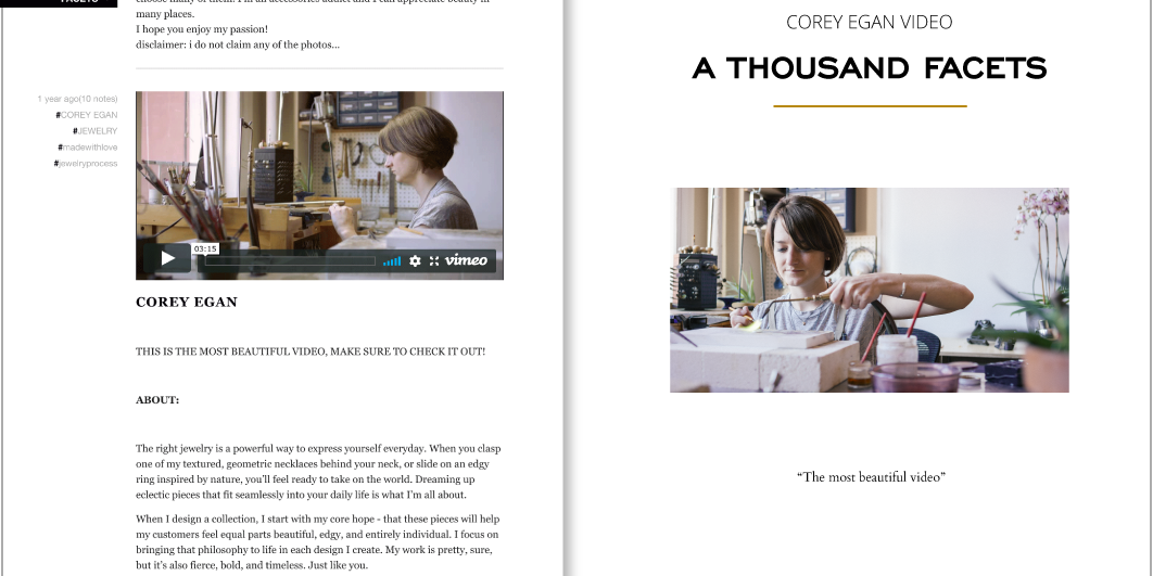 Corey Egan Video on A Thousand Facets 2016