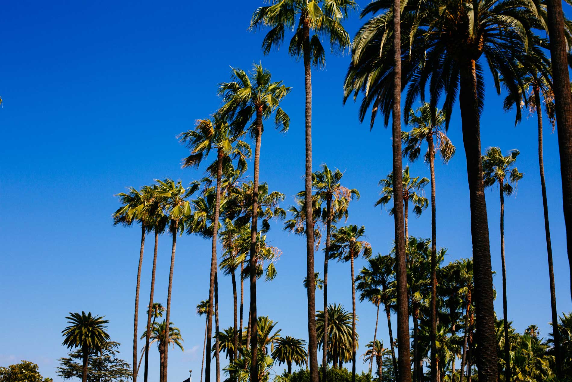 Summer Break - Studio Closed