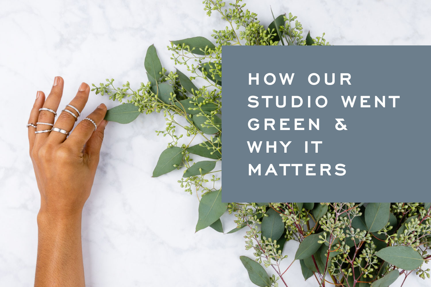 How Our Studio Went Green & Why It Matters by Corey Egan