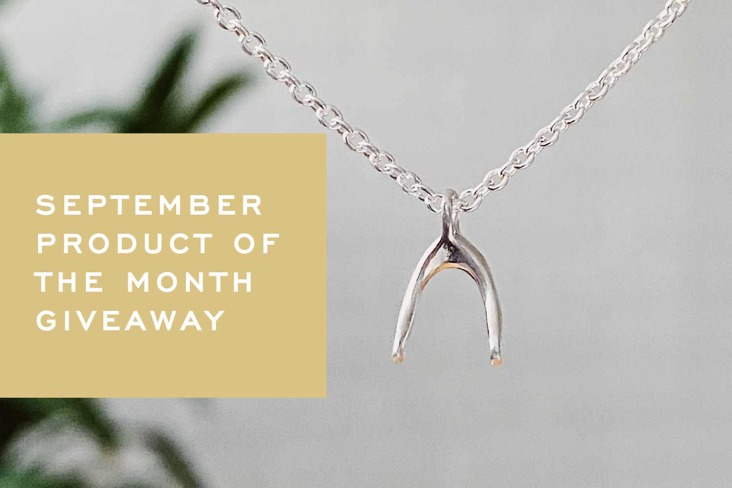 September Product of the Month