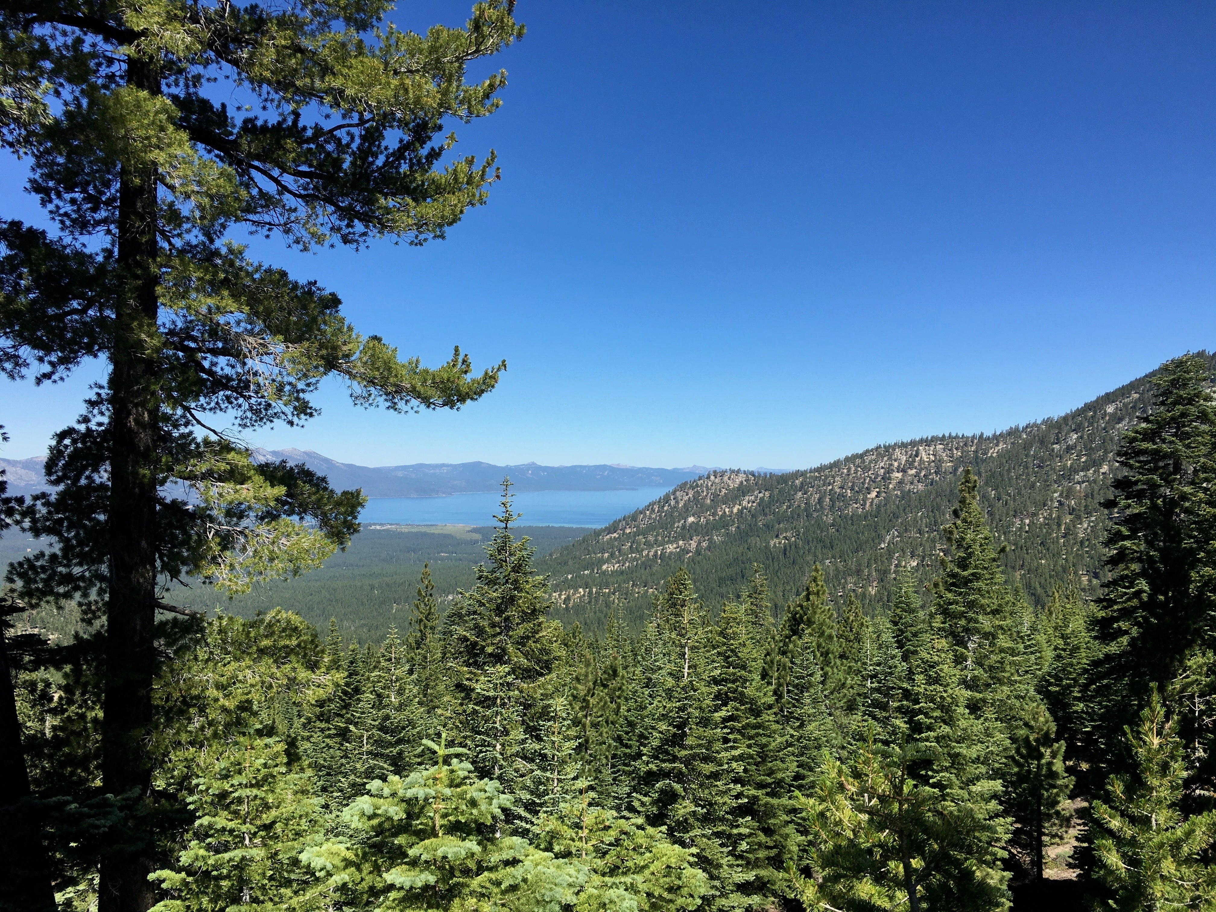 Studio Closed - Summer Break