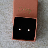 Silver Micro Fragment Stud Earrings