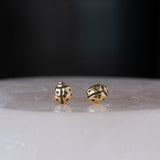 Gold Ladybug Studs