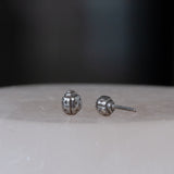 Silver Ladybug Studs