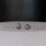 Silver Ladybug Studs
