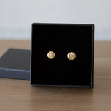 Small Lucia Gold Stud Earrings