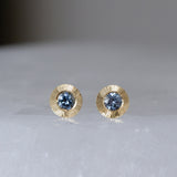 Large Aurora Blue Montana Sapphire Stud Earring in Yellow Gold