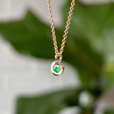 Emerald Small Aurora Pendant Necklace in Yellow Gold hanging in front of a white wall with a plant, side angle