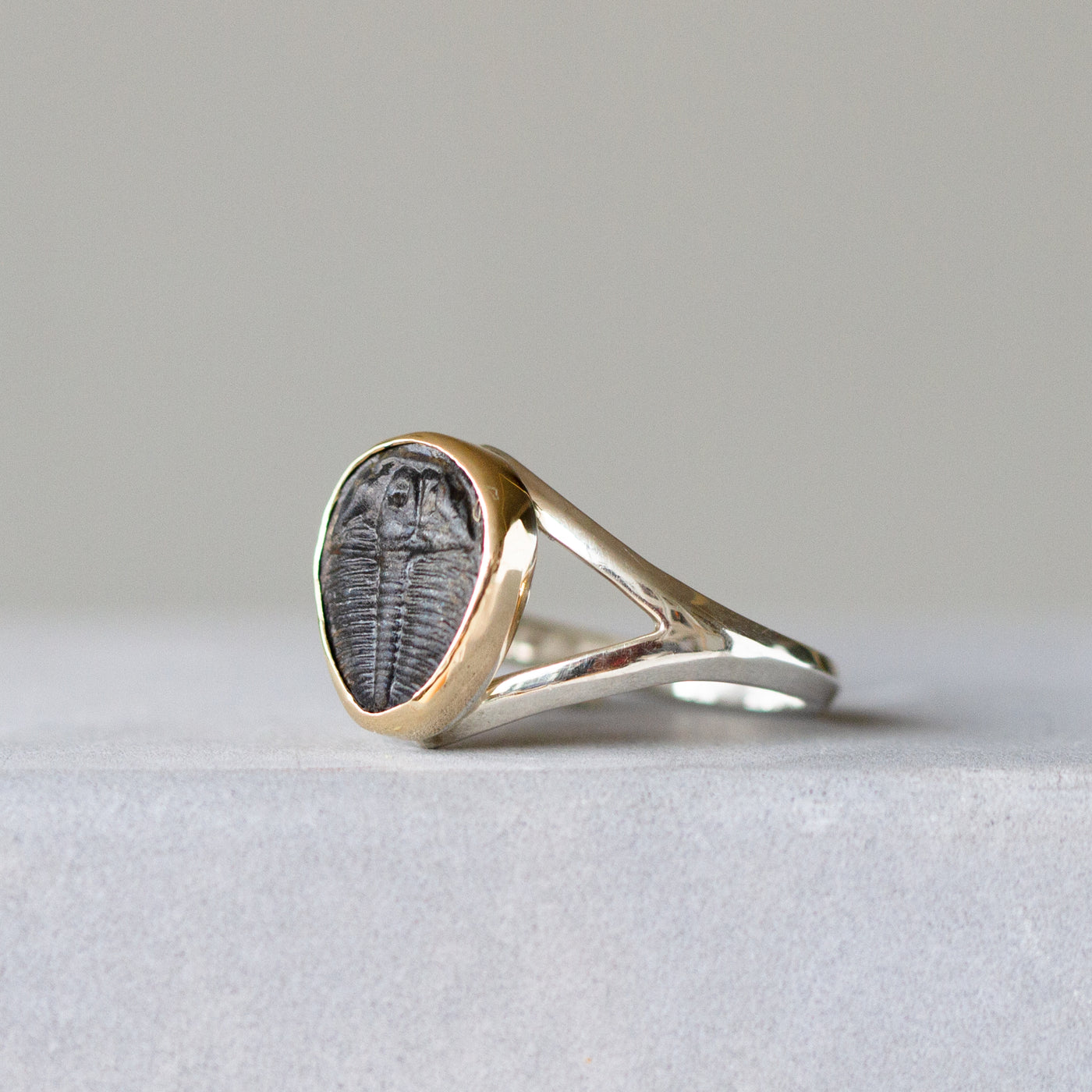 Trilobite Gold and Silver Cleo Ring