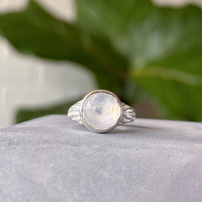 Moonstone Calista Ring in Sterling Silver sitting on a cement table, front angle