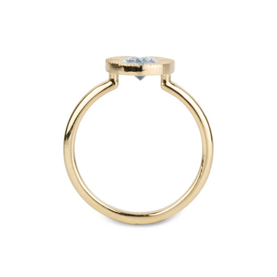 .89ct North-South Oval Aurora Engagement Ring - Light Blue Montana Sapphire in Yellow Gold