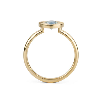 .62ct Round Aurora Engagement Ring -  Light Blue Montana Sapphire in Yellow Gold
