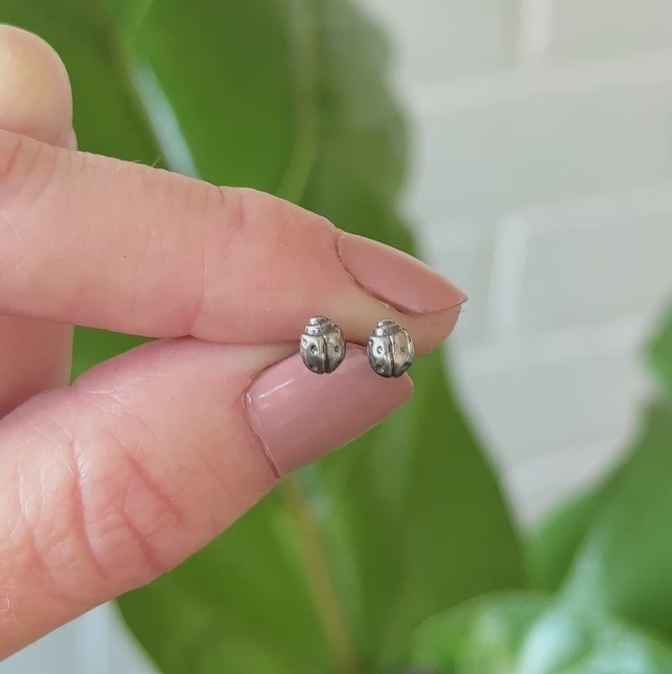 Silver Ladybug Studs