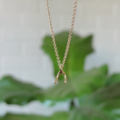 Vermeil Wishbone Necklace