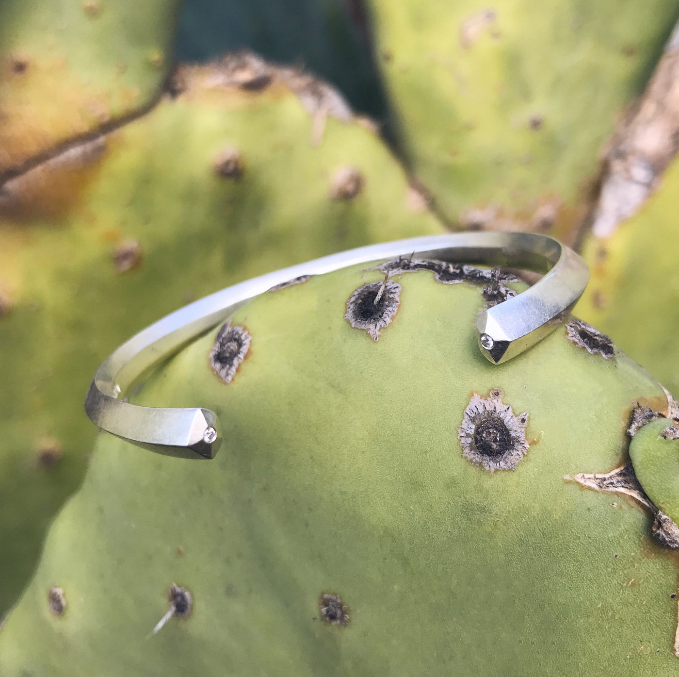 Faceted sterling silver cuff with pentagon faceted ends and a single diamond in each on a cactus by Corey Egan