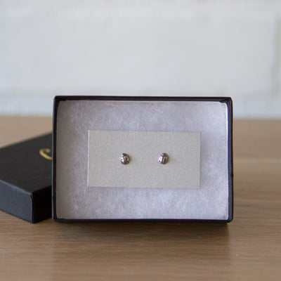 Silver Ladybug Stud Earrings by Corey Egan in a gift box