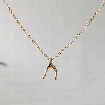 Gold Wishbone Necklace by Corey Egan in natural light