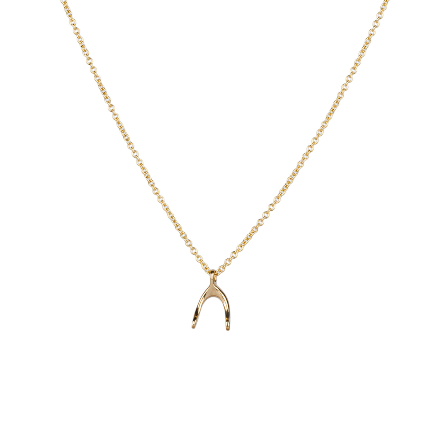 Gold Wishbone Necklace by Corey Egan