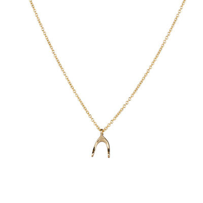 Gold Wishbone Necklace by Corey Egan