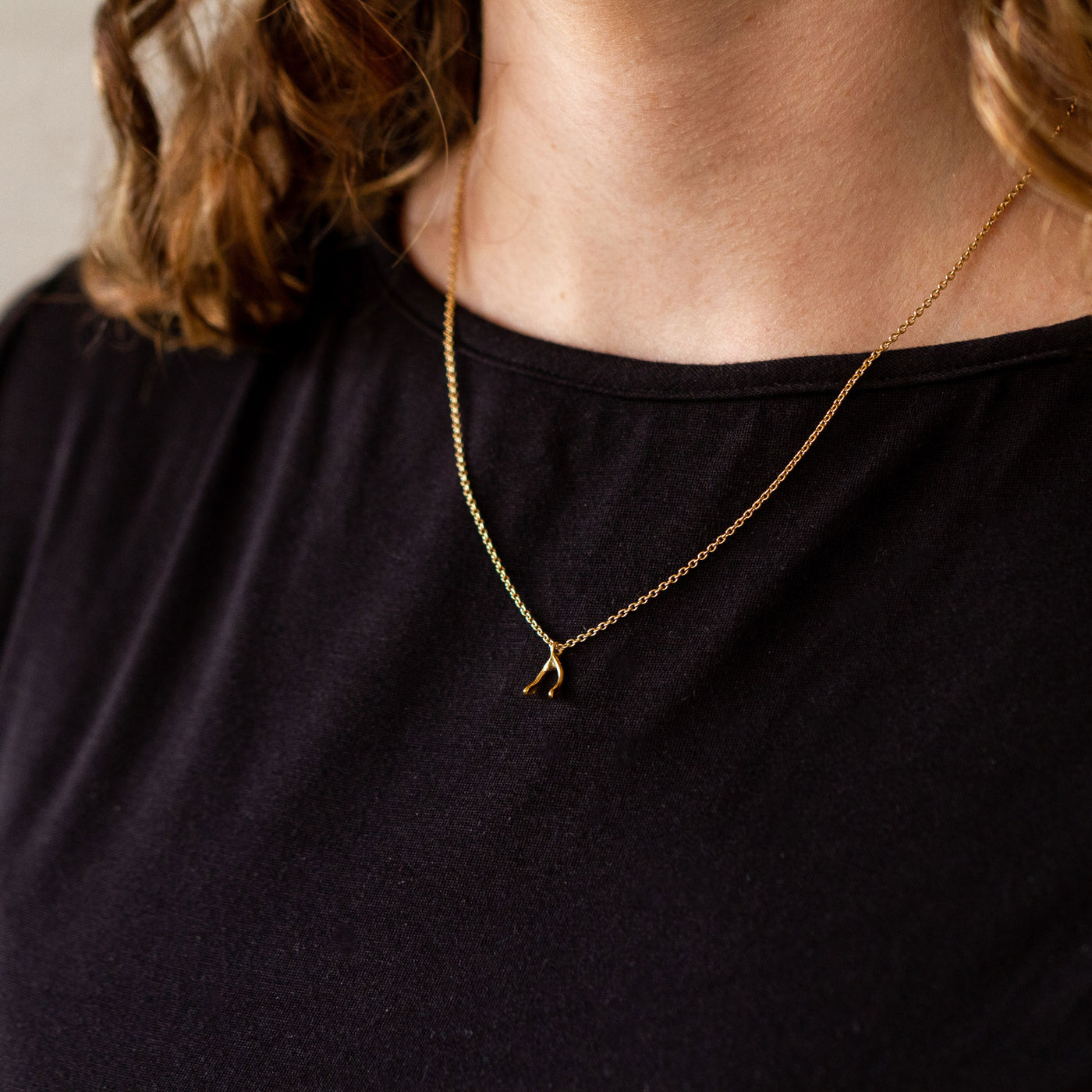 Gold Vermeil Wishbone Necklace by Corey Egan
