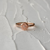 Lucia Small Rose Gold and Diamond Ring on a natural looking background