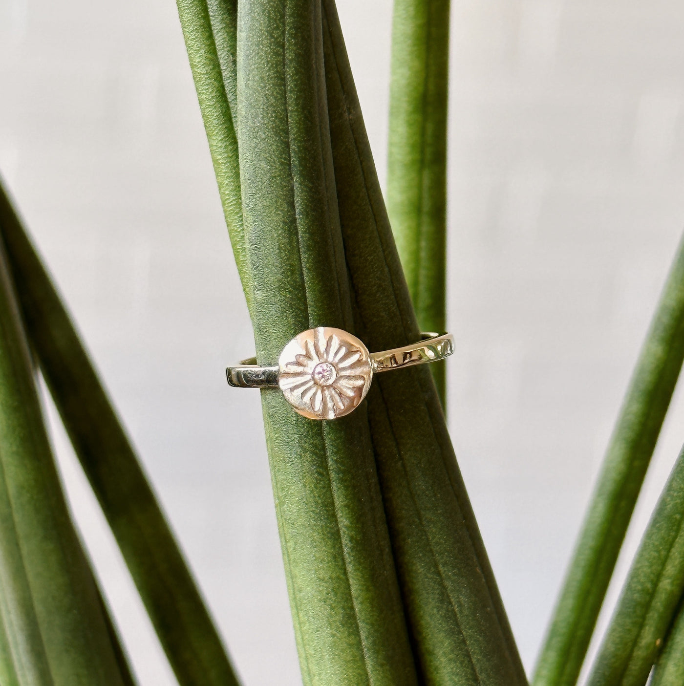 Lucia Small White Gold and Diamond Ring modeled on a plant