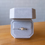 Lucia Small White Gold and Diamond Ring packaged in a ring box