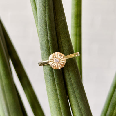Lucia Small Yellow Gold and Diamond Ring front facing displayed on a plant