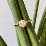 Lucia Small Yellow Gold and Diamond Ring displayed on a plant, tilted slightly sideways 
