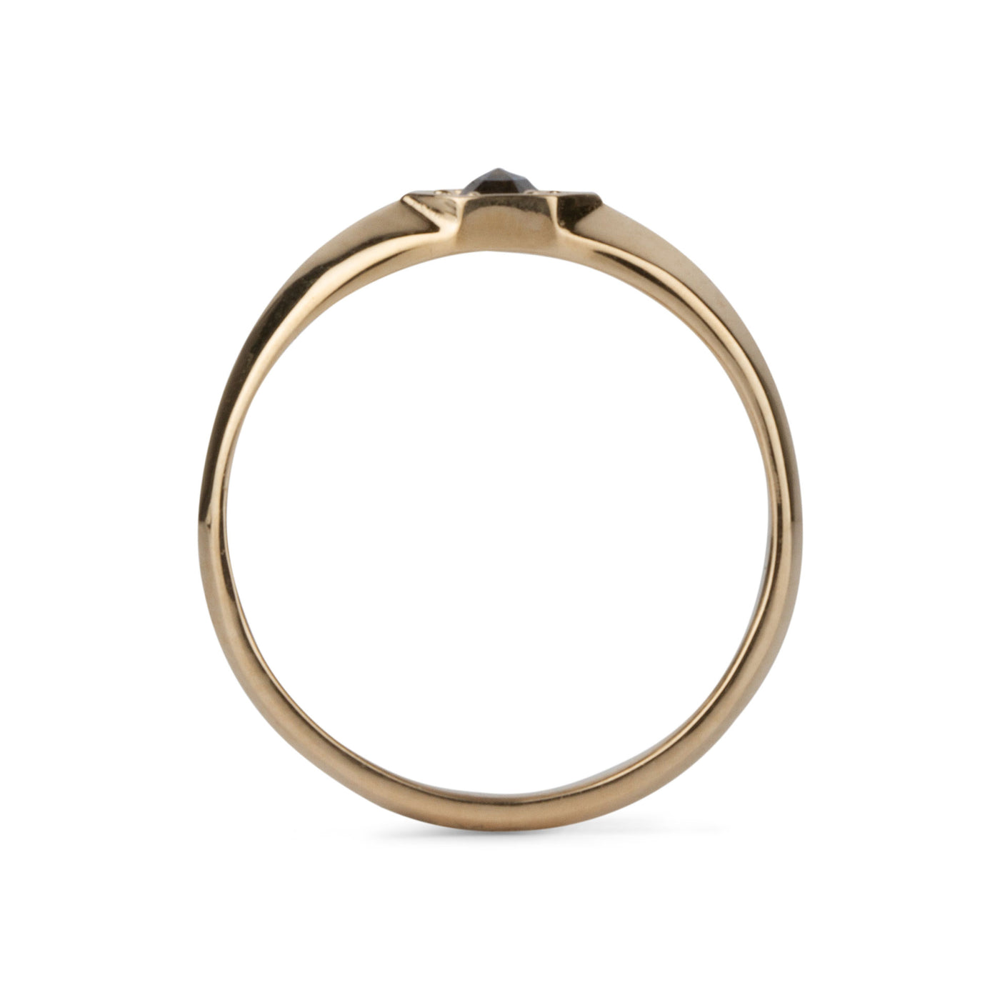 Profile view of Yellow gold signet ring with bead set rose cut salt and pepper diamond on a white background profile view