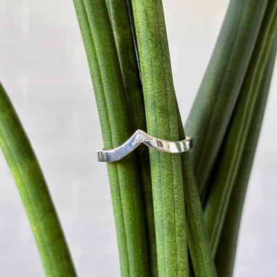 Silver peaked band with single star set diamond modeled on a plant close up