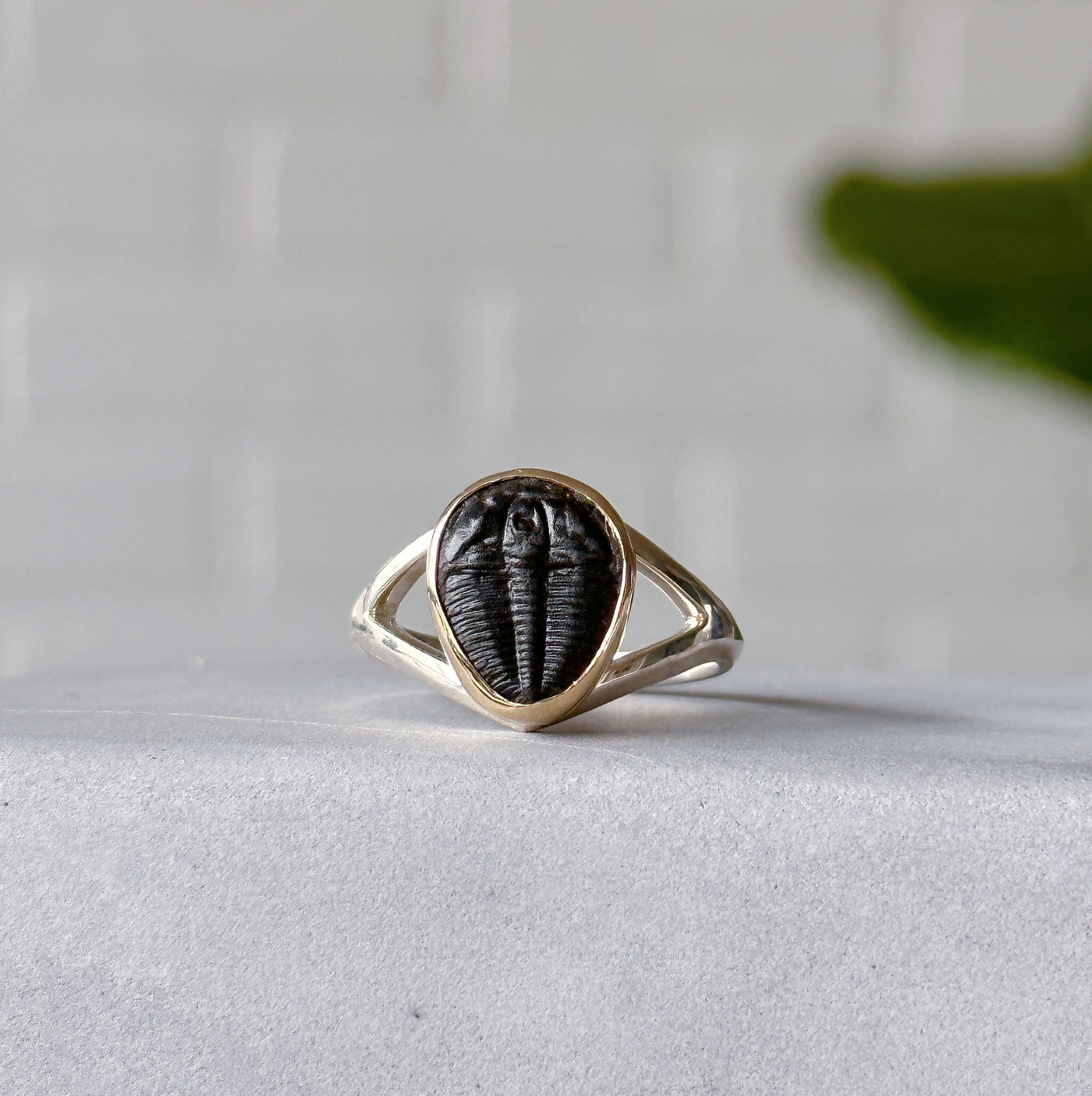 Trilobite Gold and Silver Cleo Ring