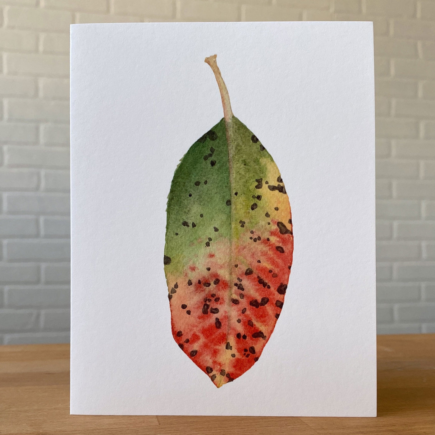 Watercolor Card of Multicolor madrone leaf