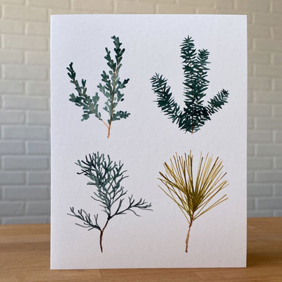 Watercolor Card of four pine tree sprigs