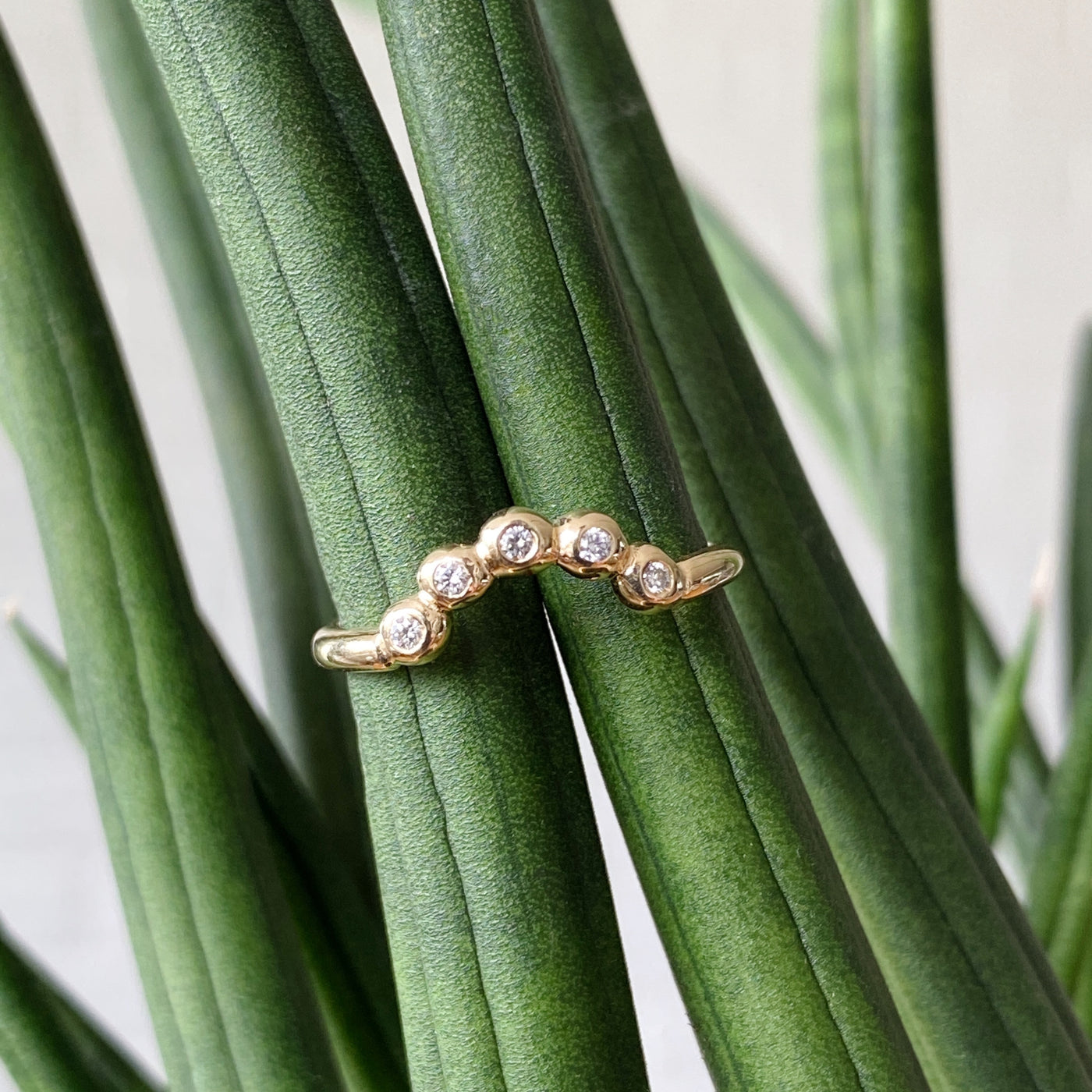 Arched Droplet Band in Yellow Gold with White Diamonds in natural light by Corey Egan