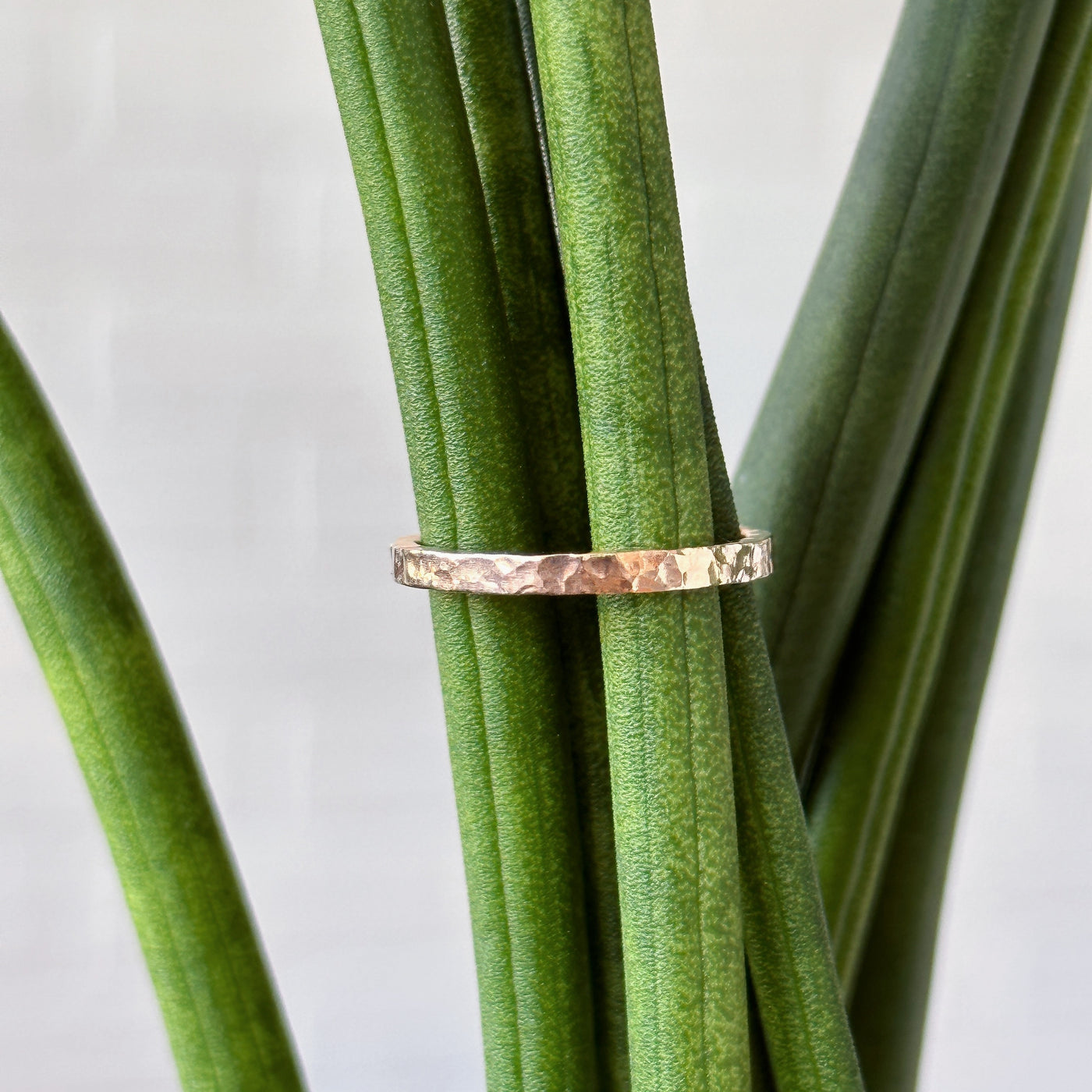 Rose Gold Blue Ridge Flat Hammered Band - 2mm - size 6.5