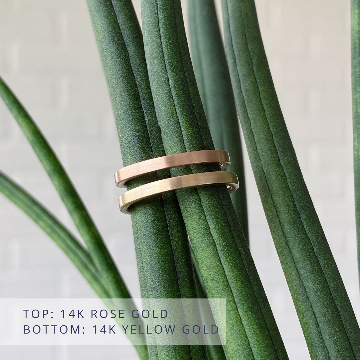 Thin Diablo flat brushed wedding bands in rose gold (top) and yellow gold (bottom) in natural light