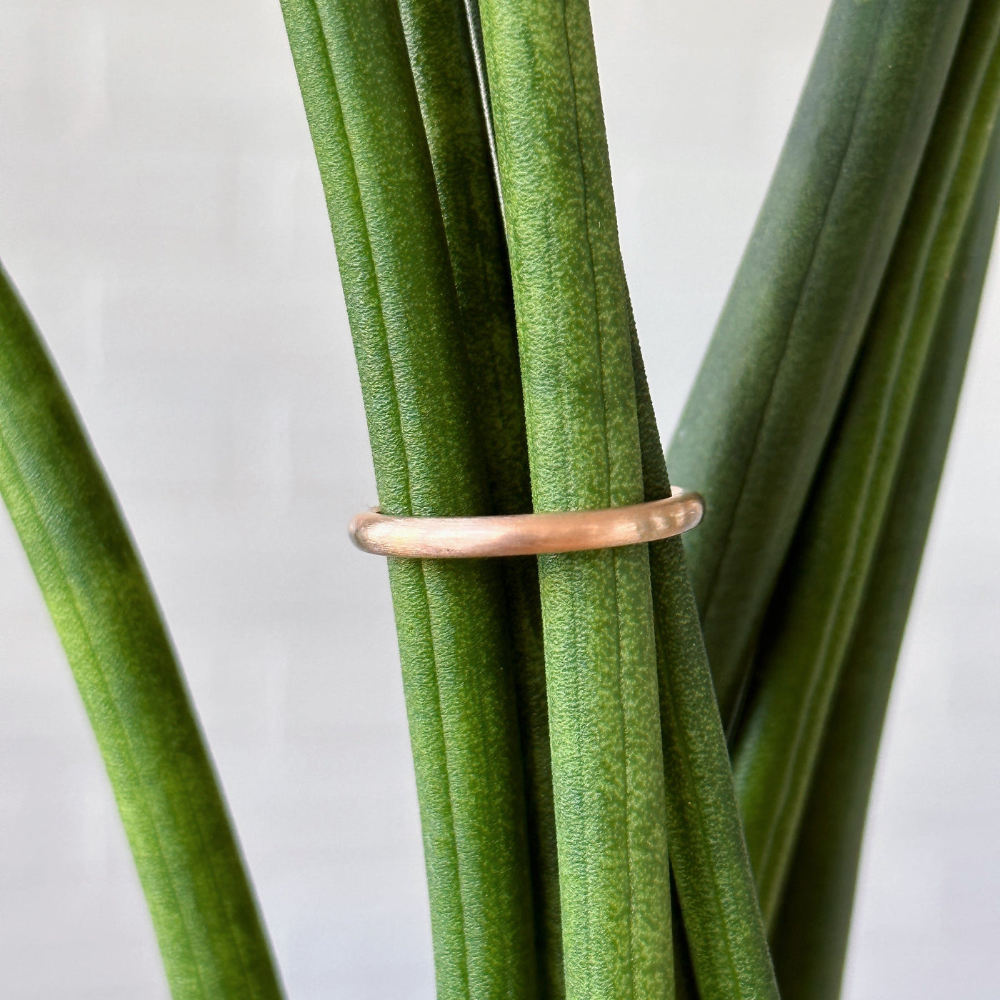 2mm wide 14k rose gold half round band with brushed finish
