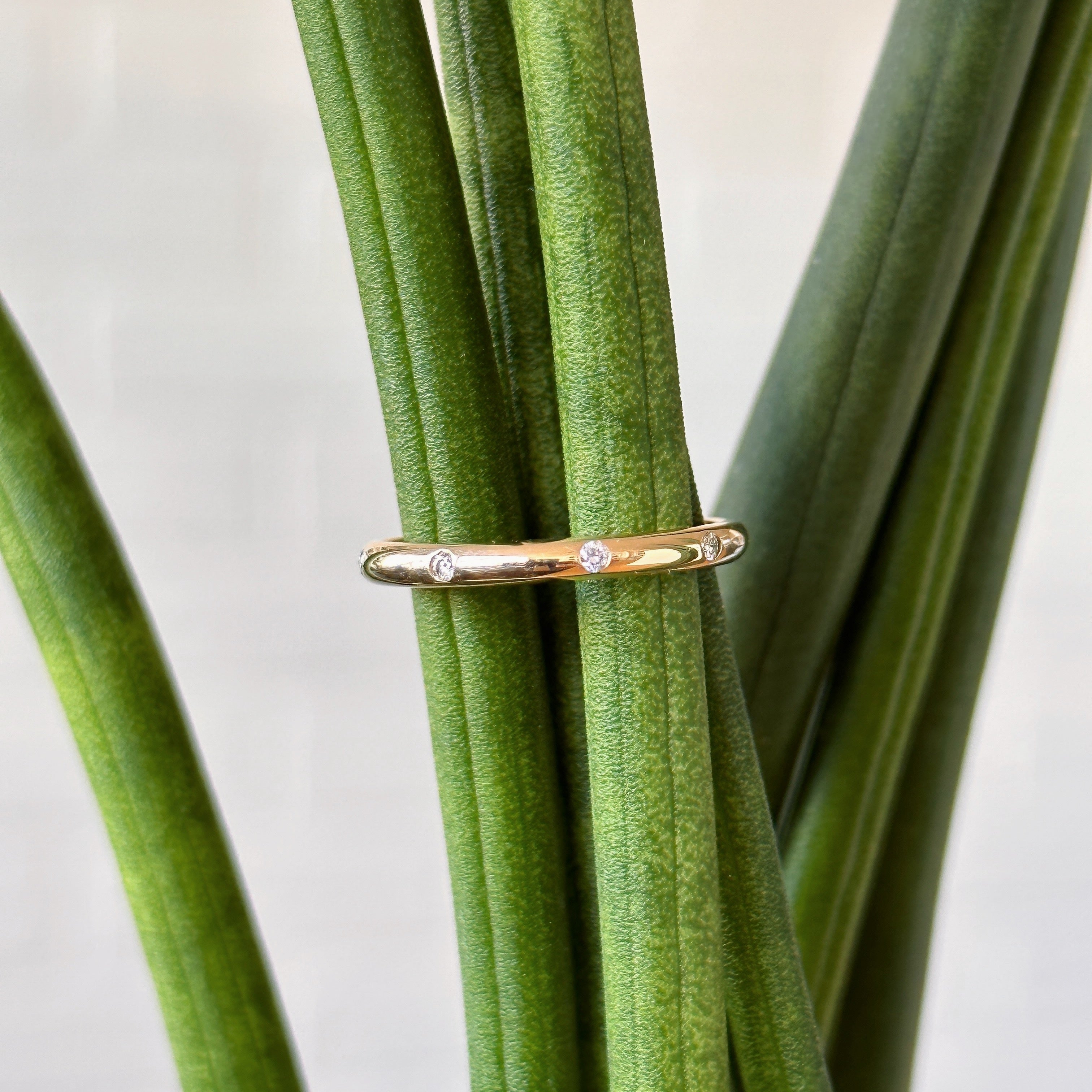 14k yellow gold Lassen band with 8 white diamonds