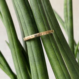 Shiny muir flat thin yellow gold wedding band in natural light.  