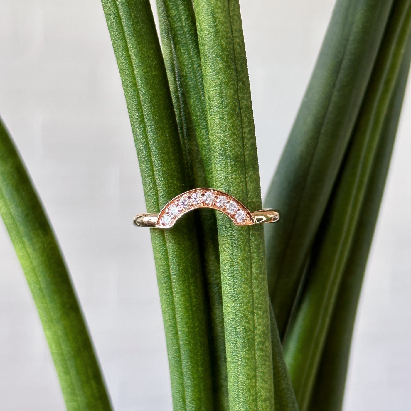 14k rose gold medium pave arch band with white diamonds in 14k rose gold