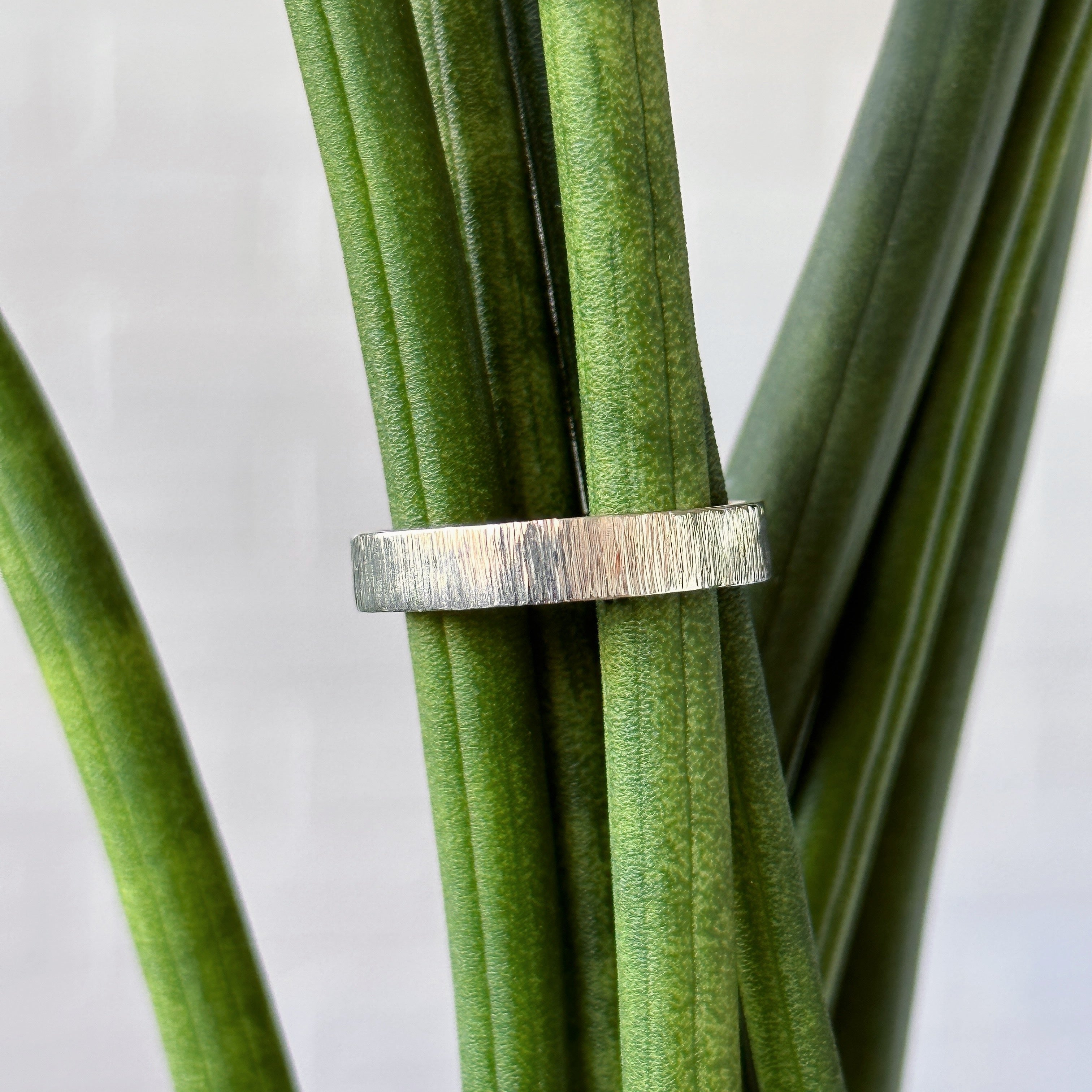 14k white gold Zion Band 4mm wide by Corey Egan