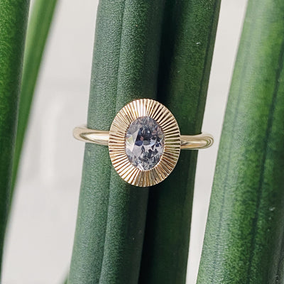 Oval grey-lavender Montana sapphire in a 14k yellow gold Aurora ring with an engraved halo border on a plant