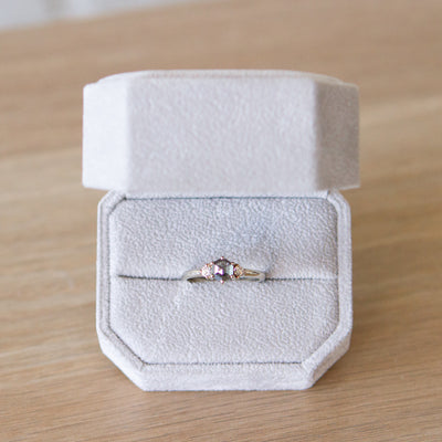 Hexagon Salt and Pepper Rose Cut Diamond Lenox Ring in 14K White Gold in a gift box | Corey Egan